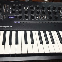 Senile Bettflucht PArt 2... .Minilogue Rulez XD