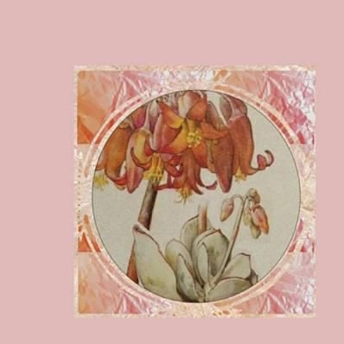 Niños del Cerro - Flores, labios, dedos