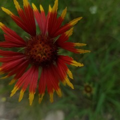 For The Best Girl (WiLL Mix) Prod By Eem Triplin