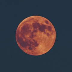 New Moon (Naviarhaiku 305)