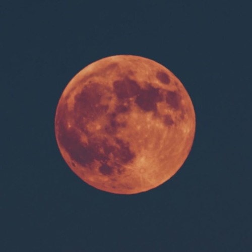 New Moon (Naviarhaiku 305)