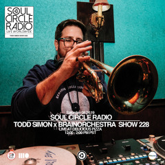 Todd SImon x Brainorchestra Show 228