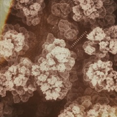 Pint Night & Sour Thoughts