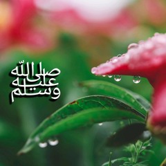 Ahmad_Alnufais🌹نور أطل على الحياة رحيما