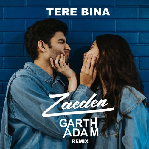 Zaeden - Tere Bina (Garth Adam Remix)"Click ON Buy For Free Download"