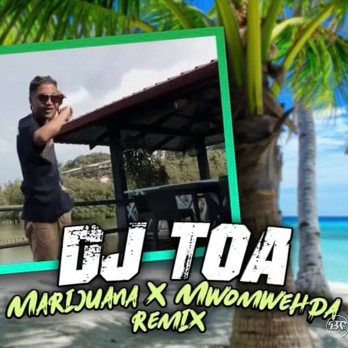 DJ TOA 19' - MARIJUANA x MWOMWEHDA V6 (Dub Reggae Remix)