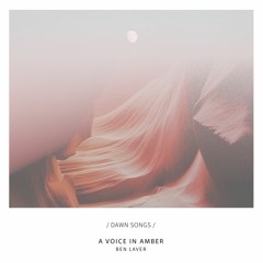A Voice In Amber