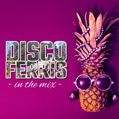 Disco Ferris In The Mix