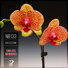 RafleSTone - Endless Memories (Original Mix)