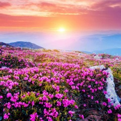 Yung Zoo - Come Up (prod. by VIKing Beats).wav