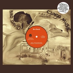 Bro David - Sunshine (Justin Van Der Volgen Version)