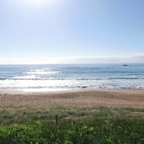 Ready for Summer 2020 (World Peace Mix #4)