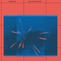 Dolphins - Last Tango feat. J. Hotz