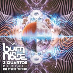 Burn In Noise  - 3 Quartos ( Shekinah RMX ) @ Nano Records