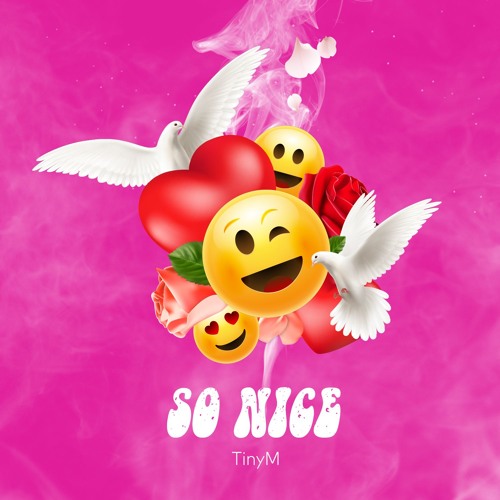 TinyM - So NiCe