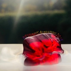 Pitschnass Ausgelutscht 2019