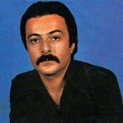 شاهرخ -مسافر غریبه