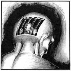 Digid - The Fear