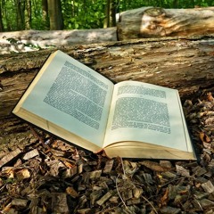 Meg's StoryTelling Playlist