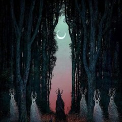 Rebel - Forest Spirits