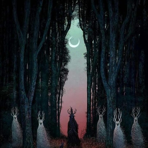 Rebel - Forest Spirits