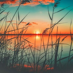 verao low bpm virtual dj set