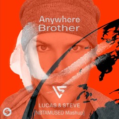 Lucas&Steve x Avicii - Anywhere vs. Hey Brother [NØTAMUSED Mashup] FREE DL