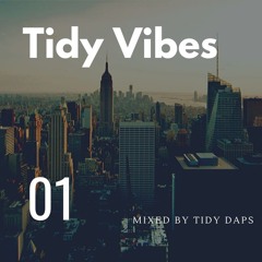 TIDY VIBES