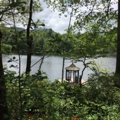Seymour's Pond