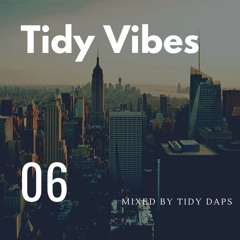 TIDY VIBES VOL. 6