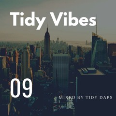 TIDY VIBES VOL. 9
