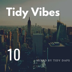 TIDY VIBES VOL.10