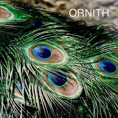 Ornith