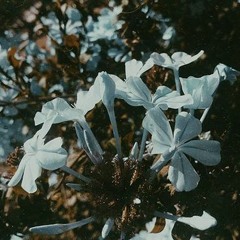 A soul with no colors - روح بلا ألوان