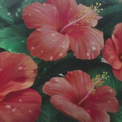 nectar