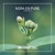 Artwork for Nora En Pure - Fibonacci