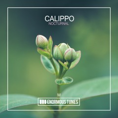 Calippo - Nocturnal
