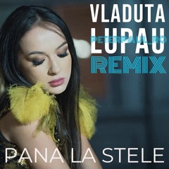 Vladuta Lupau - Pana la stele  (peterpaul-ro Remix)