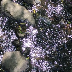 lovesins - kairi (prod. yungtim)