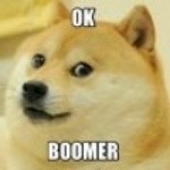 Ok boomer - BionicPIG