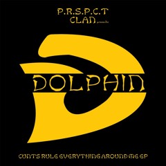 Dolphin - Cunts Rule Everything Around Me (PRSPCTXTRM051) - Coming January 31st