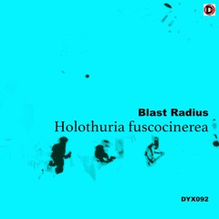Blast Radius-The Earth My Flesh, The Sea My Blood, The Wind My Voice, The Sky My Mind
