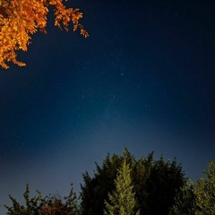 d a r k n i g h t s (stream/relax playlist)