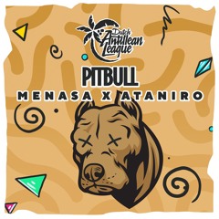 Pitbull ft. Ataniro (original mix)