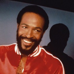Marvin Gaye - Sexual Healing (The Ross Fitz Rework)[**FREE DOWNLOAD**]