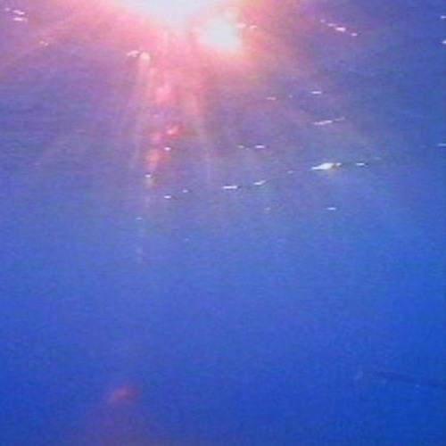 Hvs41 (fazortan 2 test)