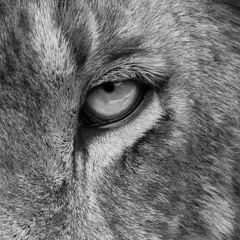 3 Minute Meditation: You Will Be Okay