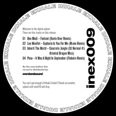 InEx009 V/A EP - Kevin Over, M.ono, Flabaire, DJ Normal 4, Paso, ITW, Leo Woelfel, Ben Mudi