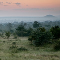 3:40 Minute Meditation: Inspire Nation