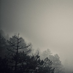 Feelings To Myself (feat. Shiloh)